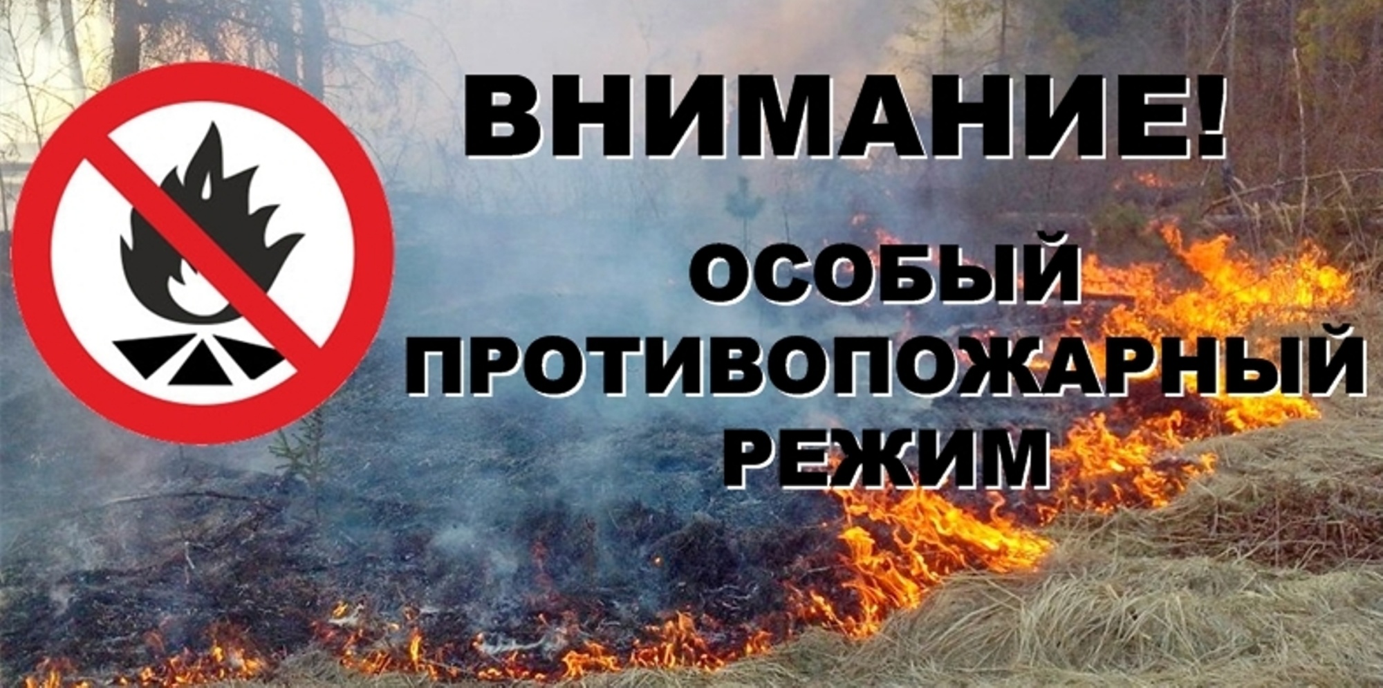На территории Республики Мордовия введен особый противопожарный режим.