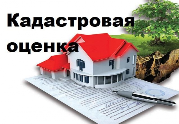ПРИКАЗ № 56 от 14.06.22 "О проведении в 2023 году кадастровой оценки на территории Республики Мордовия". ПРИКАЗ № 56 от 14.06.22 "О проведении в 2023 году кадастровой оценки на территории Республики Мордовия".