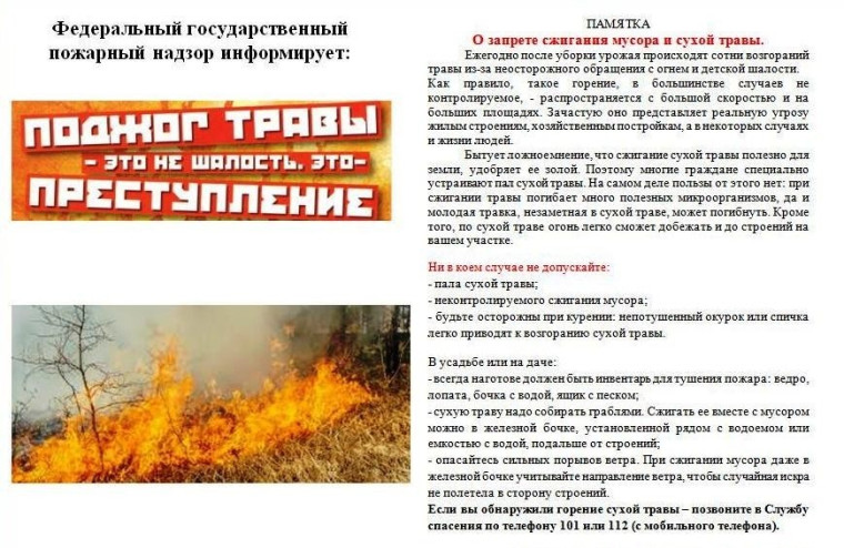 Поджог травы-это не шалость, это-преступление!. Поджог травы-это не шалость, это-преступление!.